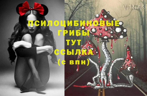 каннабис Новозыбков