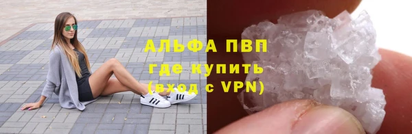 каннабис Новозыбков
