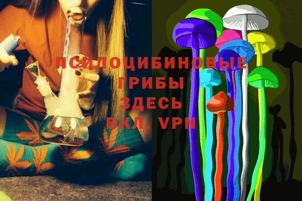 СК Болотное