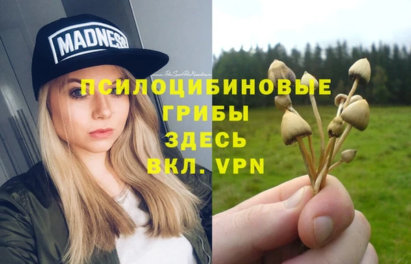 каннабис Новозыбков