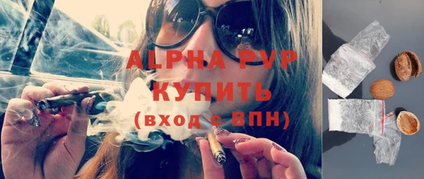 индика Болхов