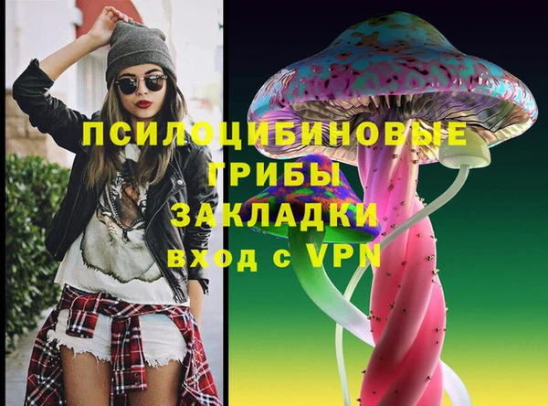 каннабис Новозыбков