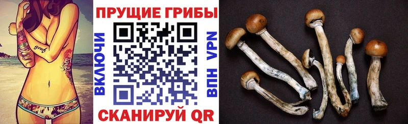 цены   Яранск  Галлюциногенные грибы мицелий 